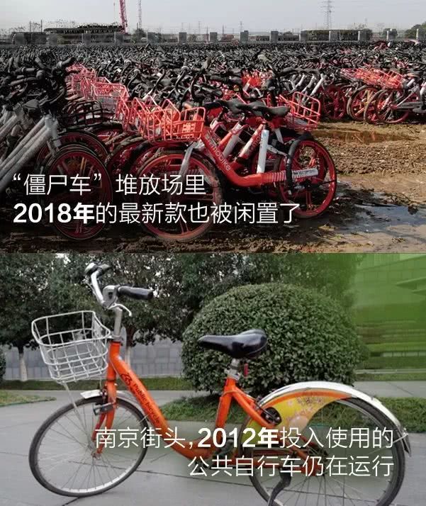 不良人1动漫色欲色欲天天天www亚洲伊，江湖恩仇，侠骨柔情的视觉盛宴