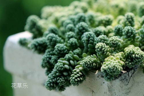 太阳女神直播，揭秘日出东方的神秘面纱，一场视觉盛宴的启幕
