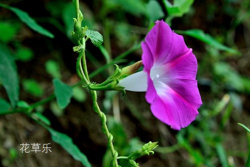 解决方案在线va无卡无码高清技术先进，服务贴心